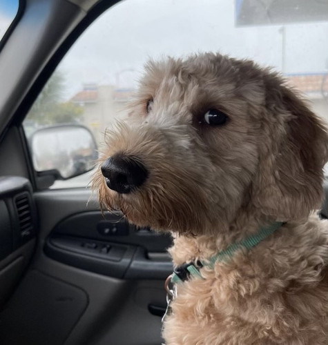 3B4E4C8F A63D 44F8 B5E0 0CDA638266CB.jpg