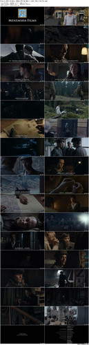 Plan.A.2021.BluRay.1080p.DTS HD.MA5.1.x265.10bit BeiTai preview.jpg
