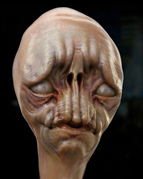 D7600030 8DB4 4BA4 AF0B 4F59BEC563C3.jpg