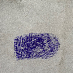 27357236 D7AE 45DF 9E71 48885D981385.jpg