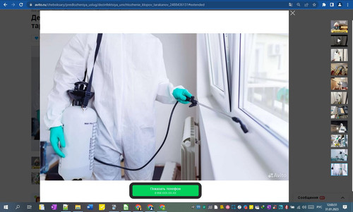 31D01M 12h03m53s.jpg