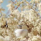 Version 500 2020 ReineBlanche DSC1324 RGB.png