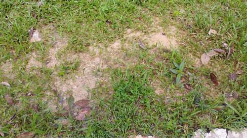 WhatsApp Image 2023 01 31 at 3.53.24 PM.jpg