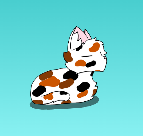 2023 02 03 0wi Kleki.png