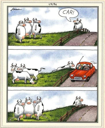 4B794C4D 6482 4E92 96C4 667864A9B3CA.jpg