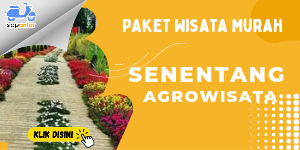 20230131 121343 0005.png