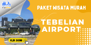 20230131 121343 0000.png