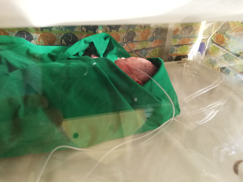 IMG 20220130 155705.jpg