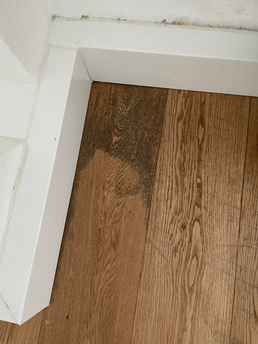 327097013 1513973469090749 1555802279495657054 n.jpg