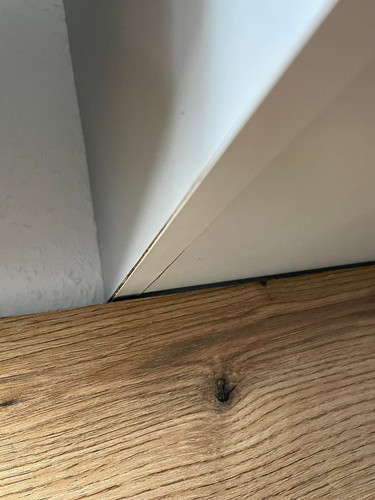 327464742 1863361887355074 2399663344087483196 n.jpg