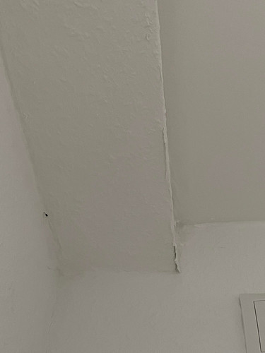 328306142 880206669882438 8943356327556167620 n.jpg