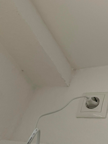 327972695 653343463258402 1255318814605345693 n.jpg