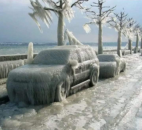 329020022 739464310895942 4608106370438634919 n.jpg