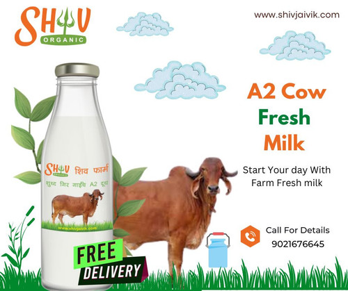 A2 Fresh Cow Milk (1).jpg