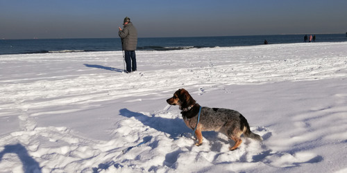 tmp 100456f8 9660 49b5 a2bf 75a0669f9cb2.jpg