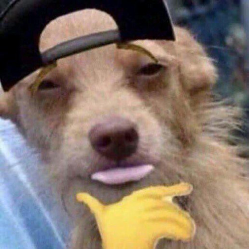 5A29C715 1D02 4E96 98C6 AE43F8D0287F.jpg