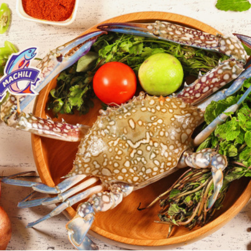 Untitled design (81).png