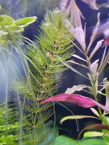 IMG 20230202 130658.jpg