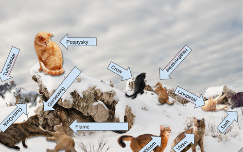 Screenshot 2023 02 01 4.12.56 PM.png