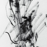 unsplash FrQKfzoTgsw progressive