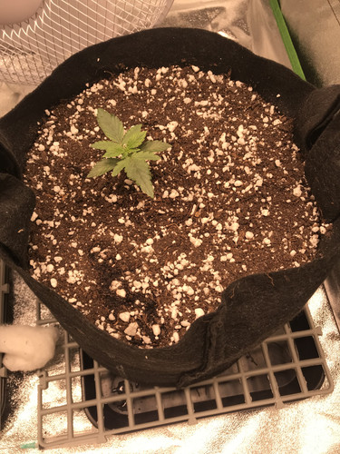 9BD8CD2A 754B 44DD 9487 41D0E9860F87.jpg