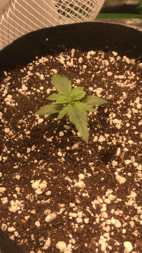 2E23433C DF25 447E AA56 58D52685F816.jpg