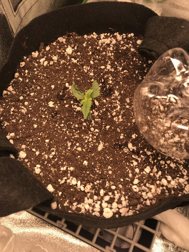 AE48A565 46B5 4390 B1FA 695FF95F0BB1.jpg