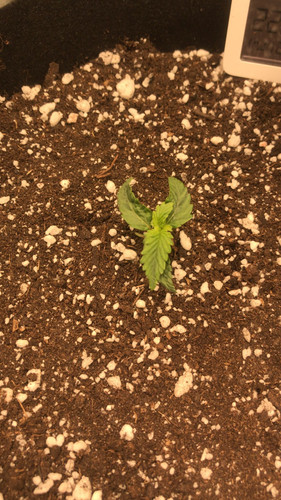 728C5AD2 CFE8 420B 8E96 BE92DF86324A.jpg