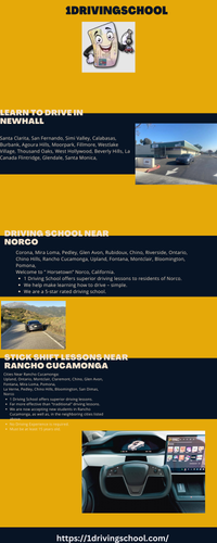 in car drivers lessons.png