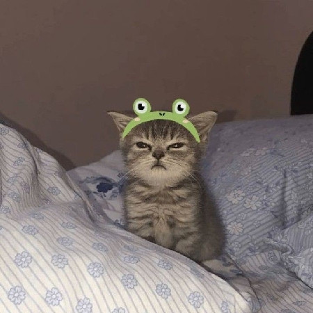 scaled image picker7636869996407339513.jpg