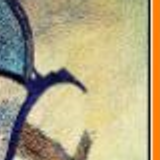 butterflies 52