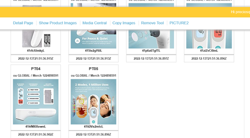Screenshot 2023 01 30 at 13 46 47 Image Assist.png