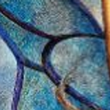 butterflies 12