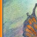 butterflies 4