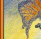 butterflies 5.png