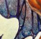butterflies 25.png