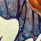 butterflies 25