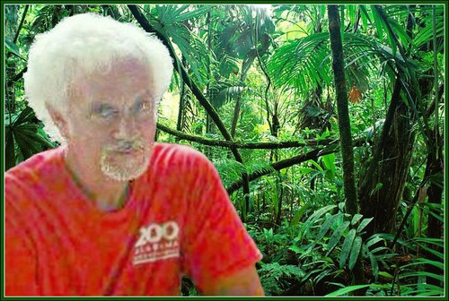 joejungle.jpg