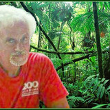 joejungle