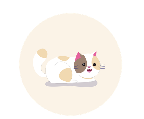 Liedown 3 Paws.png
