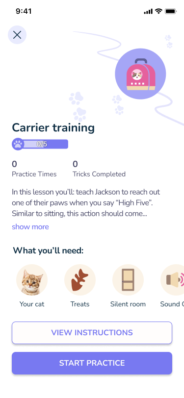 Lesson intro screen.png