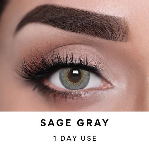 Sage Gray.png