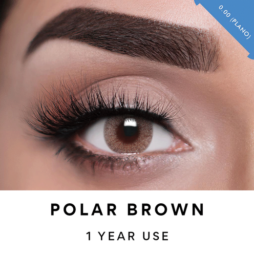 Polar Brown.png