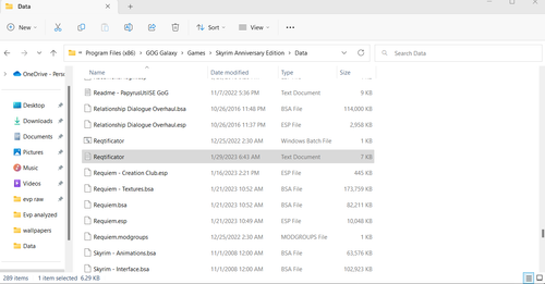 Skyrim Data Directory.png