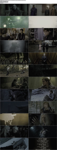 7.Harry.Potter.and.the.Deathly.Hallows.Part.1.2010.UHD.BluRay.2160p.DTS X.7.1.HDR.x265.10bit CHD.mkv.jpg