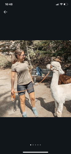 0B60D566 7437 4B2A 889E FD9C6DD1113D.png