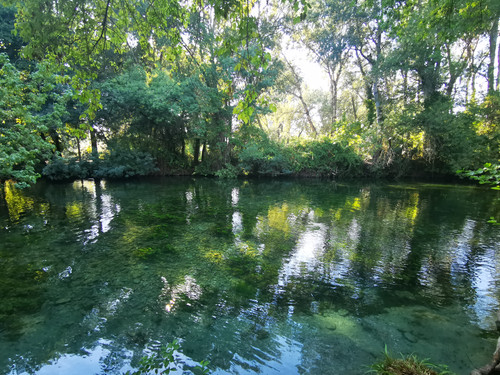 IMG 20220809 174615.jpg