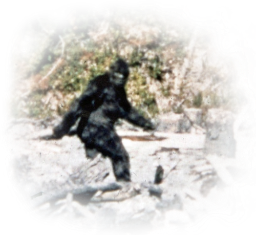 image 2023 02 05 140936746.png