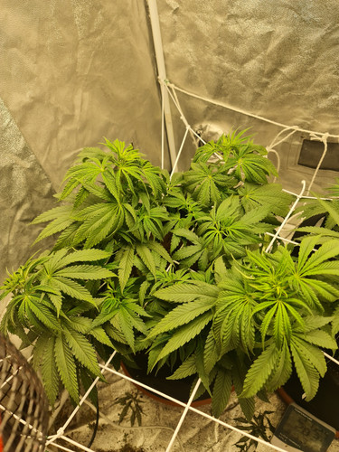 20230205 200439[1].jpg