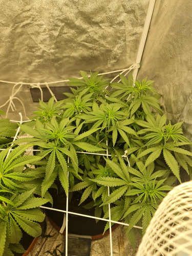 20230205 200441[1].jpg